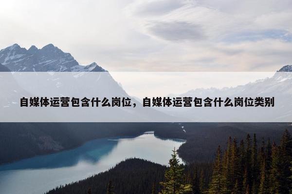 自媒体运营包含什么岗位，自媒体运营包含什么岗位类别