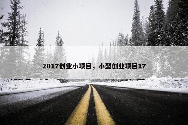 2017创业小项目，小型创业项目17