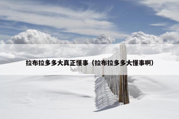 拉布拉多多大真正懂事（拉布拉多多大懂事啊）