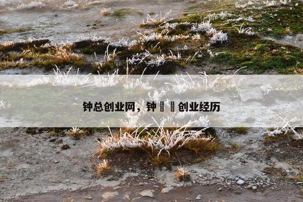 钟总创业网，钟睒睒创业经历