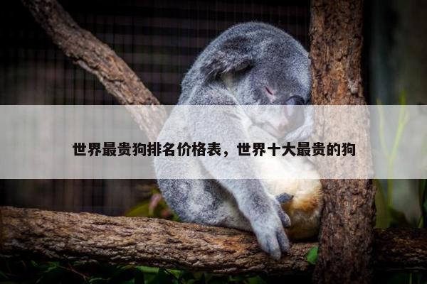 世界最贵狗排名价格表，世界十大最贵的狗