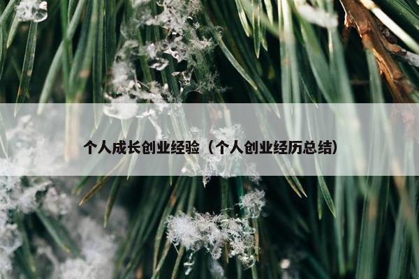 个人成长创业经验（个人创业经历总结）