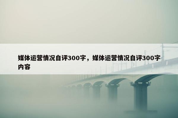 媒体运营情况自评300字，媒体运营情况自评300字内容