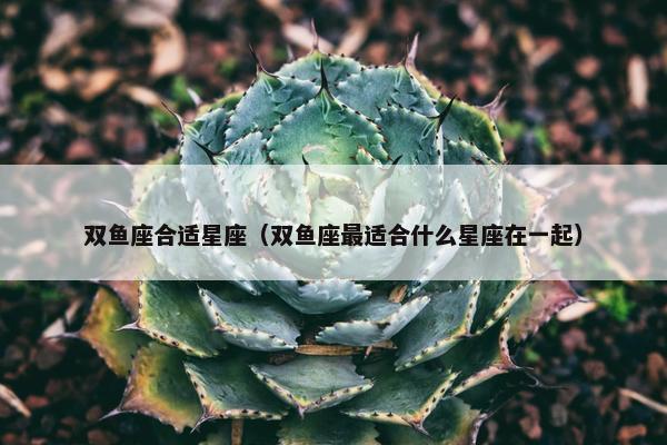 双鱼座合适星座（双鱼座最适合什么星座在一起）