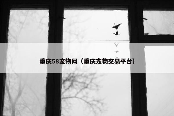 重庆58宠物网（重庆宠物交易平台）