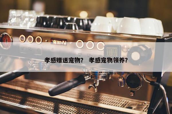孝感赠送宠物？ 孝感宠物领养？