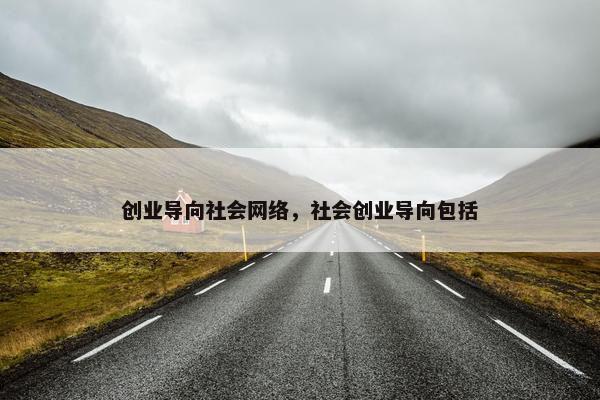 创业导向社会网络，社会创业导向包括