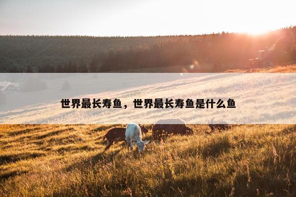 世界最长寿鱼，世界最长寿鱼是什么鱼