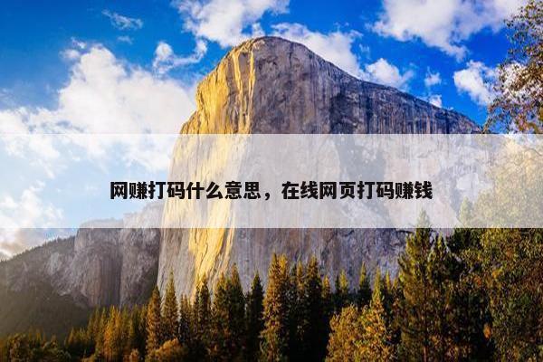 网赚打码什么意思，在线网页打码赚钱