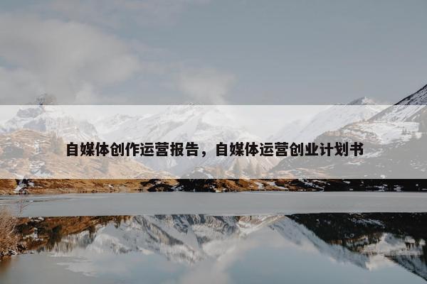 自媒体创作运营报告，自媒体运营创业计划书