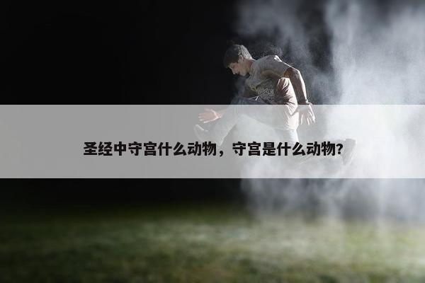 圣经中守宫什么动物，守宫是什么动物?