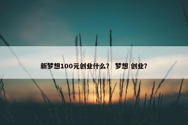 新梦想100元创业什么？ 梦想 创业？