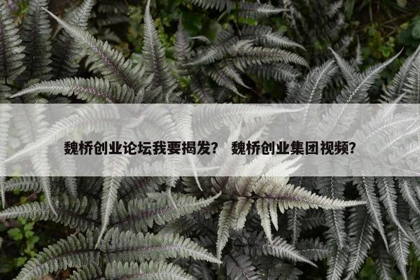 魏桥创业论坛我要揭发？ 魏桥创业集团视频？