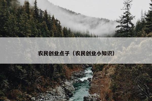 农民创业点子（农民创业小知识）