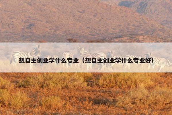 想自主创业学什么专业（想自主创业学什么专业好）