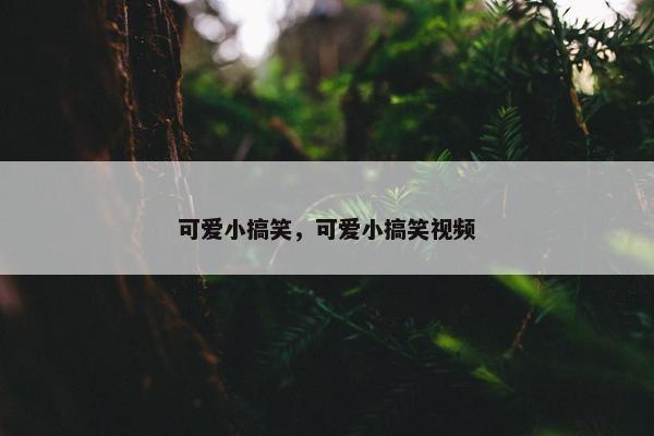 可爱小搞笑，可爱小搞笑视频