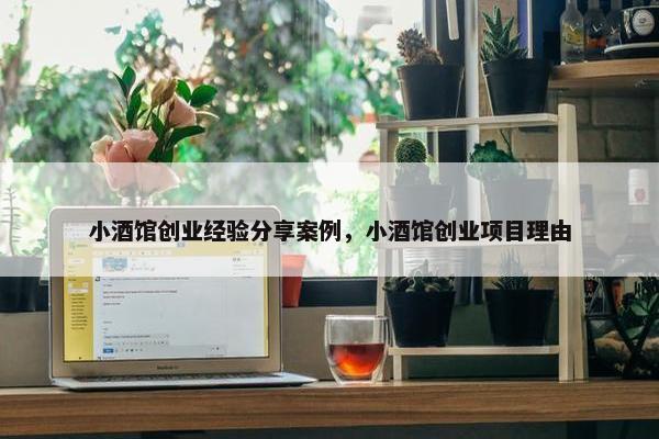 小酒馆创业经验分享案例，小酒馆创业项目理由