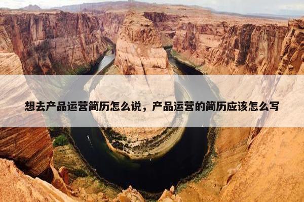 想去产品运营简历怎么说，产品运营的简历应该怎么写