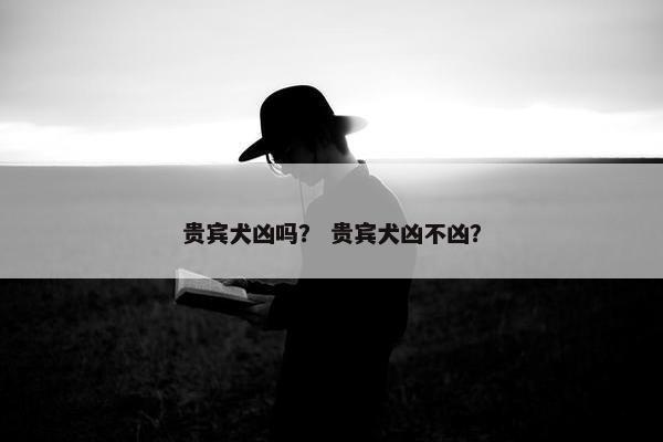 贵宾犬凶吗？ 贵宾犬凶不凶？