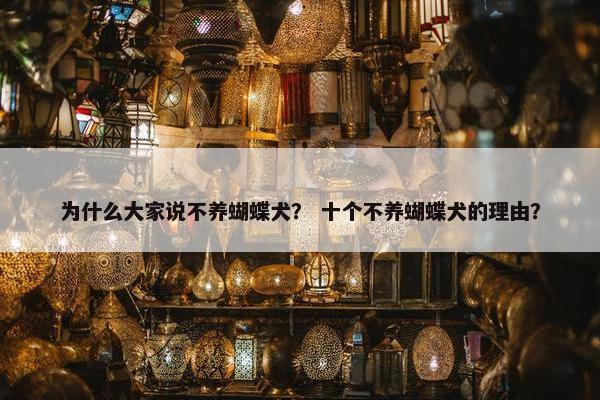 为什么大家说不养蝴蝶犬？ 十个不养蝴蝶犬的理由？