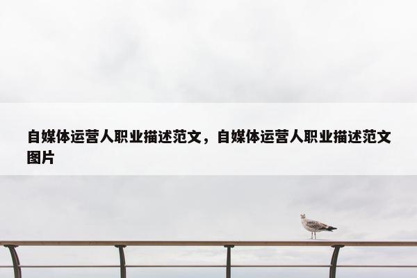自媒体运营人职业描述范文，自媒体运营人职业描述范文图片
