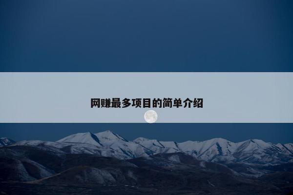 网赚最多项目的简单介绍