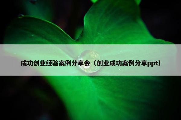 成功创业经验案例分享会（创业成功案例分享ppt）