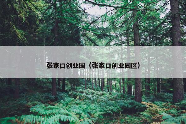 张家口创业园（张家口创业园区）