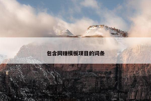 包含网赚模板项目的词条