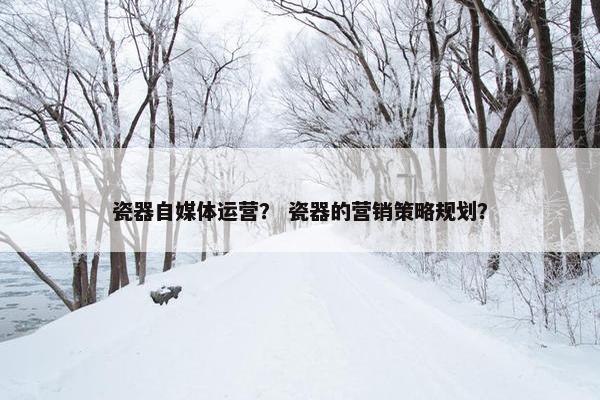 瓷器自媒体运营？ 瓷器的营销策略规划？