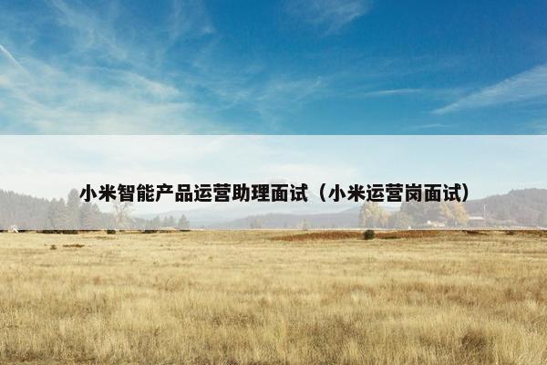 小米智能产品运营助理面试（小米运营岗面试）