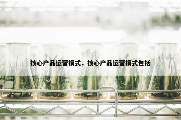 核心产品运营模式，核心产品运营模式包括