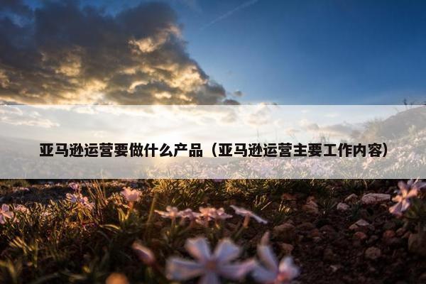 亚马逊运营要做什么产品（亚马逊运营主要工作内容）