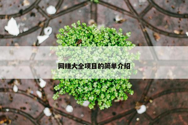 网赚大全项目的简单介绍