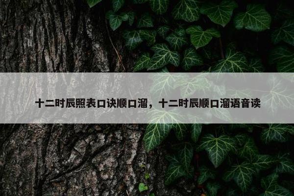 十二时辰照表口诀顺口溜，十二时辰顺口溜语音读