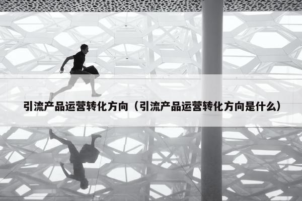 引流产品运营转化方向（引流产品运营转化方向是什么）