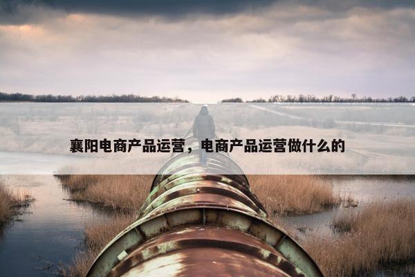 襄阳电商产品运营，电商产品运营做什么的