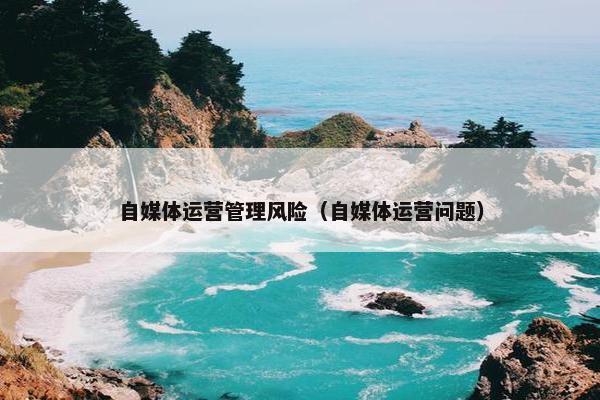 自媒体运营管理风险（自媒体运营问题）