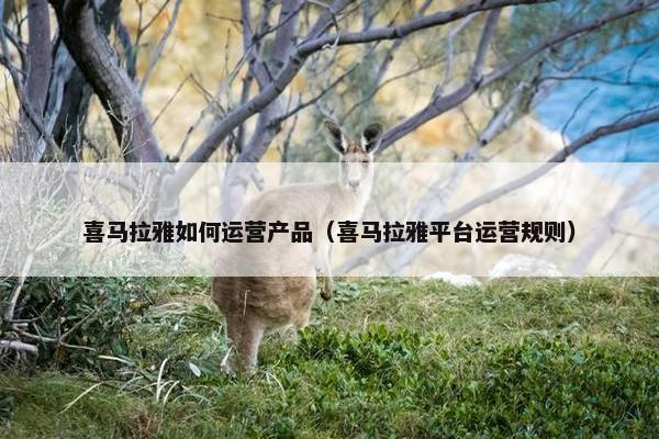 喜马拉雅如何运营产品（喜马拉雅平台运营规则）