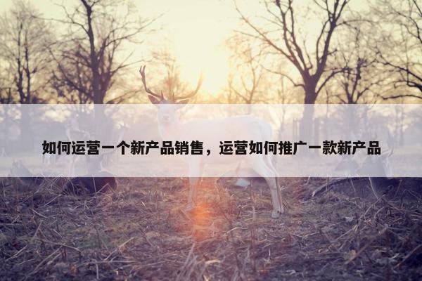 如何运营一个新产品销售，运营如何推广一款新产品