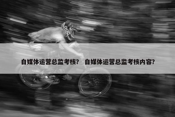 自媒体运营总监考核？ 自媒体运营总监考核内容？