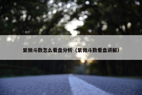 紫微斗数怎么看盘分析（紫微斗数看盘讲解）