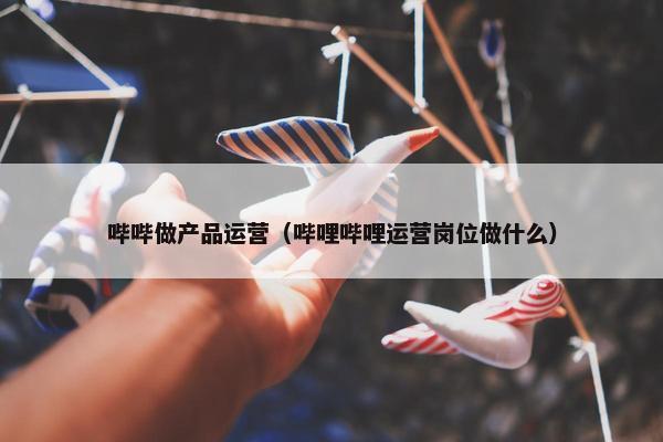 哔哔做产品运营（哔哩哔哩运营岗位做什么）