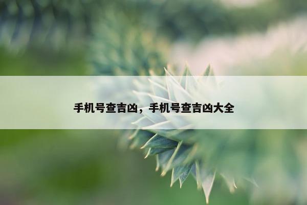 手机号查吉凶，手机号查吉凶大全