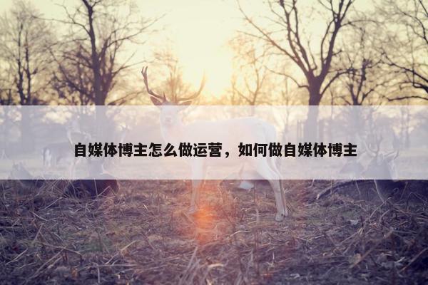 自媒体博主怎么做运营，如何做自媒体博主