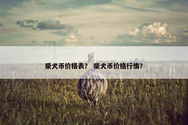 柴犬币价格表？ 柴犬币价格行情？