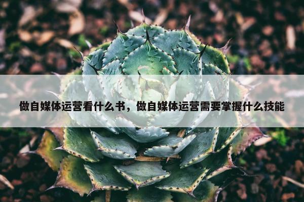 做自媒体运营看什么书，做自媒体运营需要掌握什么技能