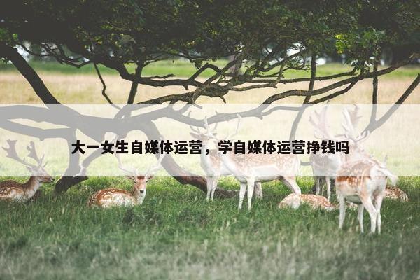 大一女生自媒体运营，学自媒体运营挣钱吗