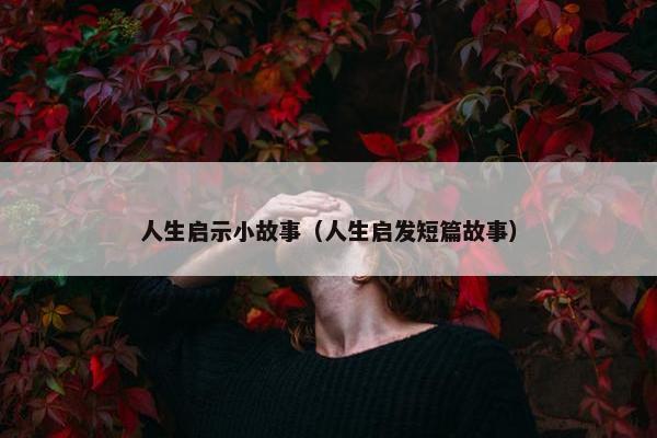 人生启示小故事（人生启发短篇故事）