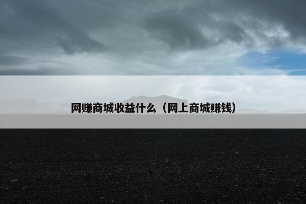 网赚商城收益什么（网上商城赚钱）